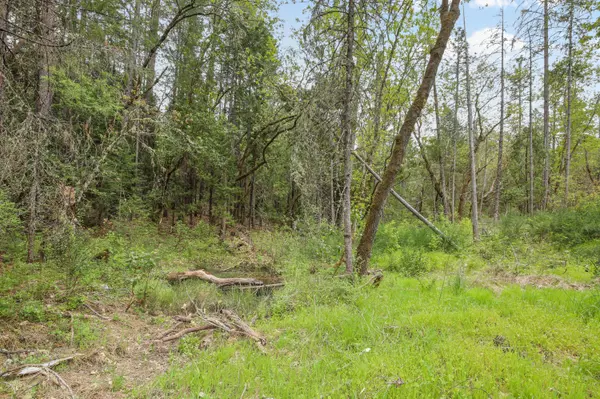 Grants Pass, OR 97527,Redwood HWY