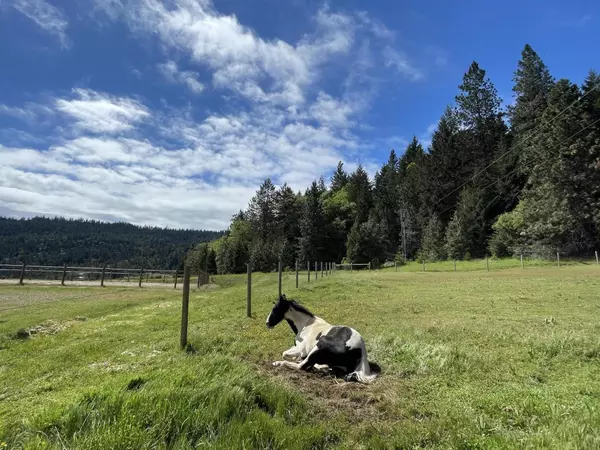 Ashland, OR 97520,5631 Old Highway 99 S