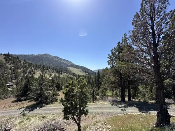 Canyon City, OR 97820,4033 Patterson DR