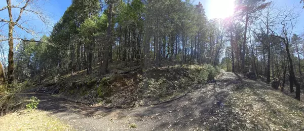 Cave Junction, OR 97523,6715 Westside RD