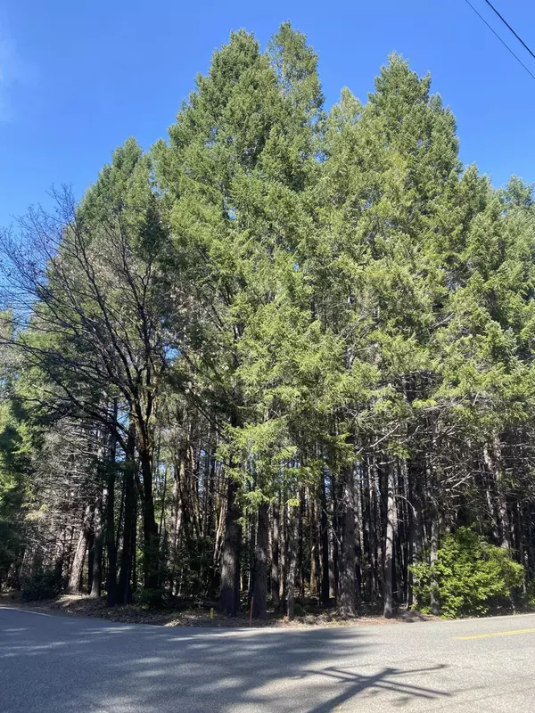 Cave Junction, OR 97523,150 Ivy DR
