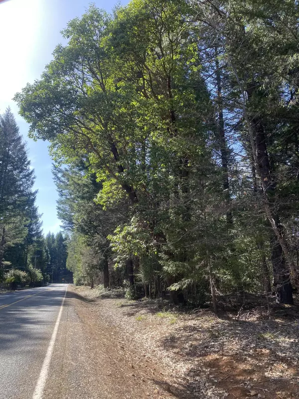 Cave Junction, OR 97523,150 Ivy DR