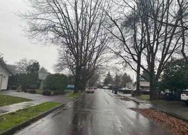 Eugene, OR 97401,511 Panda LOOP