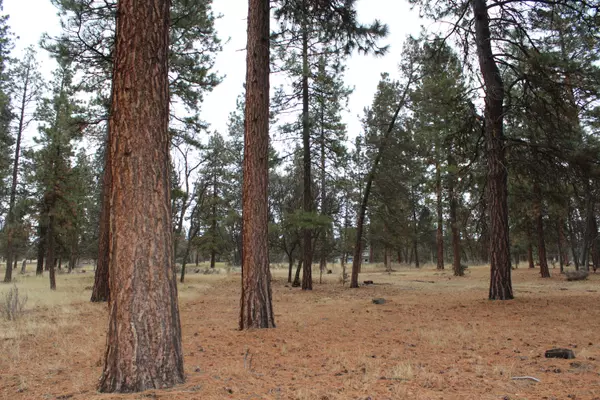 Klamath Falls, OR 97601,68 Merganser #68