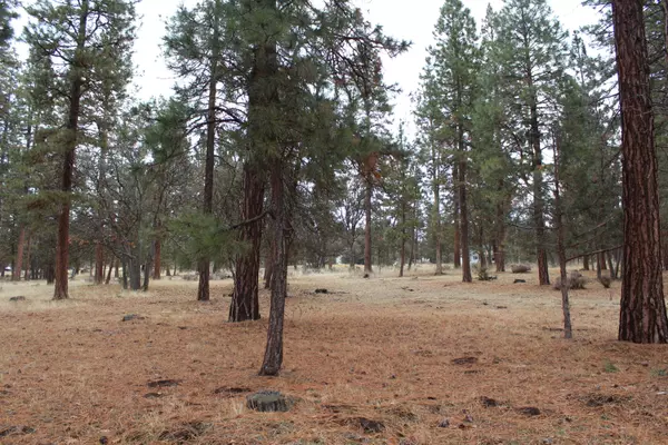 Klamath Falls, OR 97601,68 Merganser #68