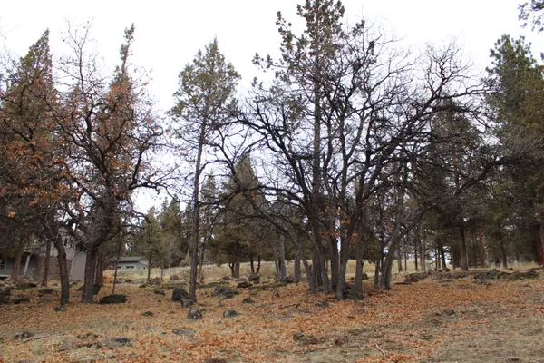 Klamath Falls, OR 97601,267 Coopers Hawk #267