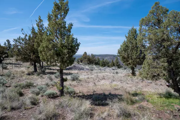 Prineville, OR 97754,10402 Wicasa LN