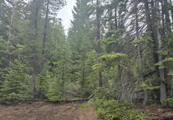 Crescent Lake, OR 97733,5 Royce Pine RD