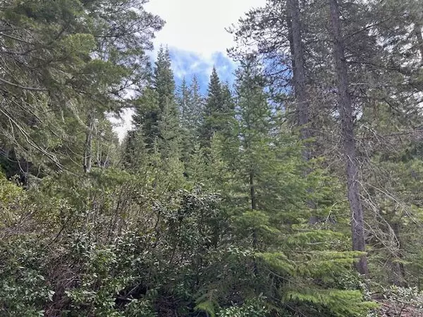 Crescent Lake, OR 97733,5 Royce Pine RD