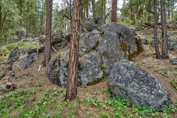 Bly, OR 97622,0 FS 3752 TL 1300