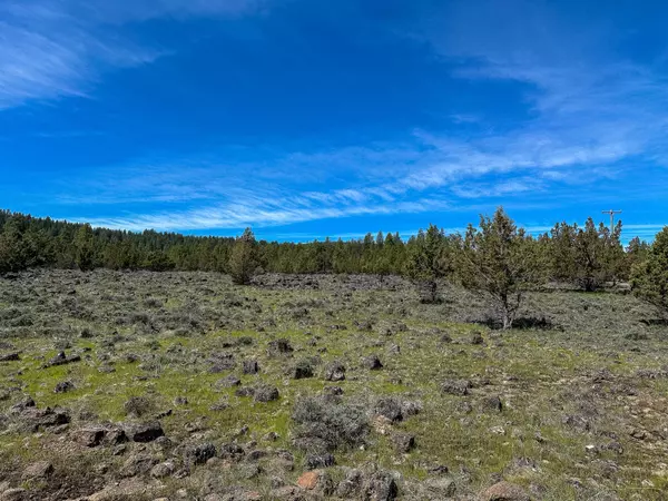 Keno, OR 97627,Shamrock #Lots 7 & 8