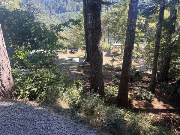 Brookings, OR 97415,17301 Canyon DR