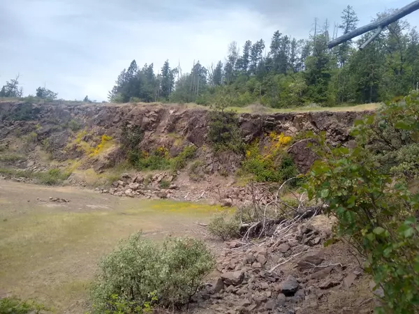 Prospect, OR 97536,0 Map&Taxlot 332E09 600, Hwy 62