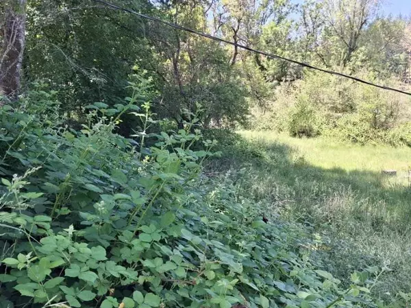 Merlin, OR 97532,1740 Hugo RD