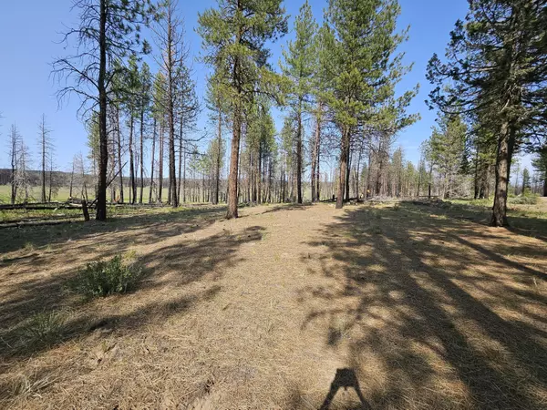 Bly, OR 97622,Parazoo TRL #Lot 2 Block 8