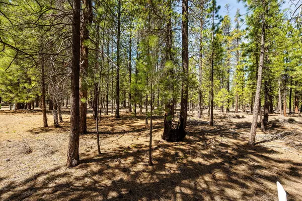 La Pine, OR 97739,51861 Knobcone