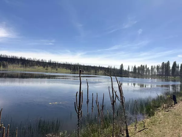 Bly, OR 97622,Off Hicks Road #Lot 3