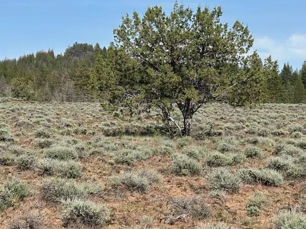 Sprague River, OR 97639,Oak Rock Way