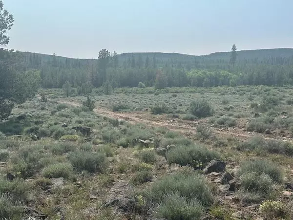 Sprague River, OR 97639,Nagel Ridge Way
