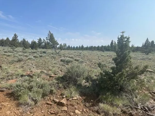 Sprague River, OR 97639,Nagel Ridge Way