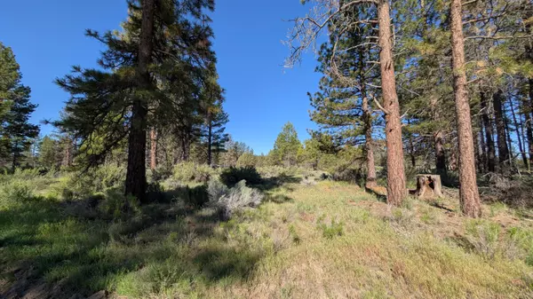 Seagull DR #24, Bonanza, OR 97623