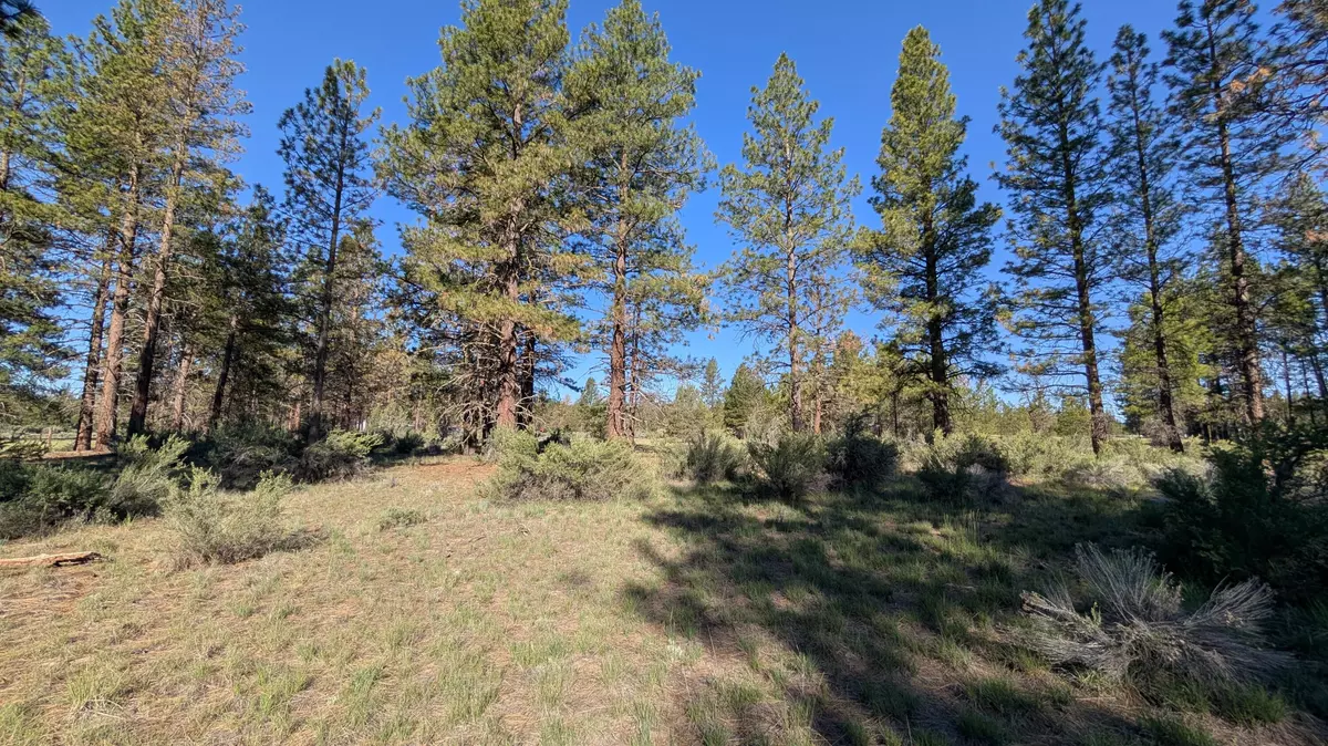 Bonanza, OR 97623,Seagull DR #23