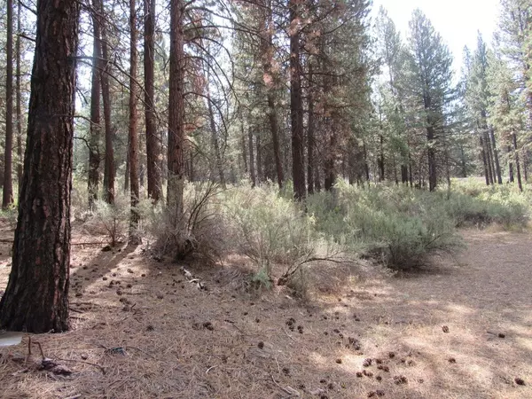 Chiloquin, OR 97624,0 Pine Ridge RD