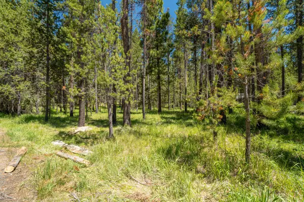 Bend, OR 97707,55568 Wagon Master WAY #17