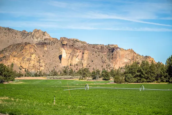 Terrebonne, OR 97760,711 Good Pasture LOOP