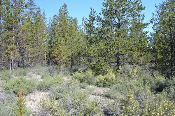 Gilchrist, OR 97737,Forest Service RD