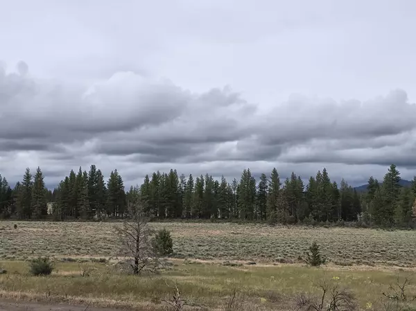 Sprague River, OR 97639,Oregon Pines RD