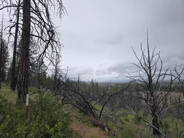 Sprague River, OR 97639,Oregon Pines RD