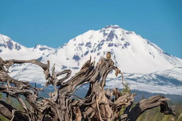 Bend, OR 97703,16830 Delicious ST