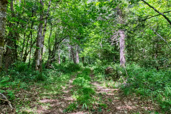 Cave Junction, OR 97523,456 Garner RD