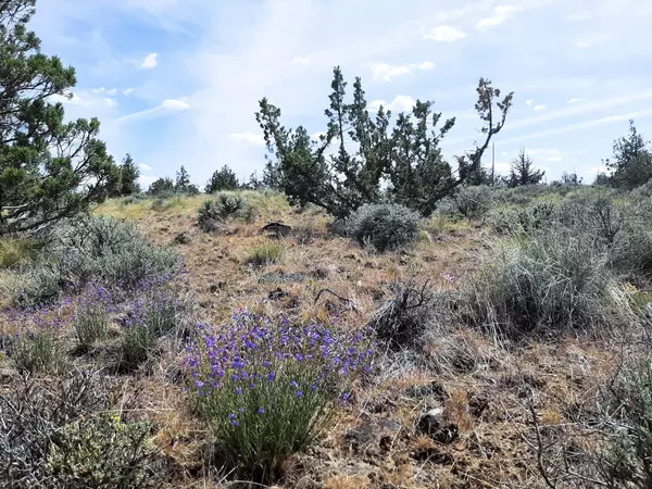 Prineville, OR 97754,Weatherby LOOP