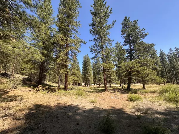 Dorris, CA 96023,8022 Schoolhouse RD