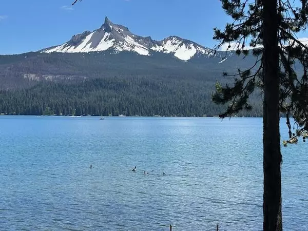 Chemult, OR 97731,80 Diamond Lake LOOP