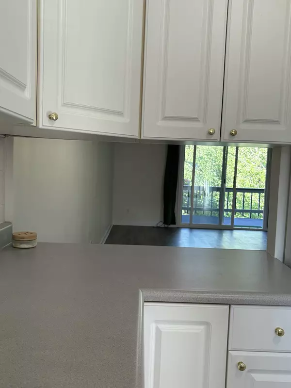 Ashland, OR 97520,854 Twin Pines CIR #7