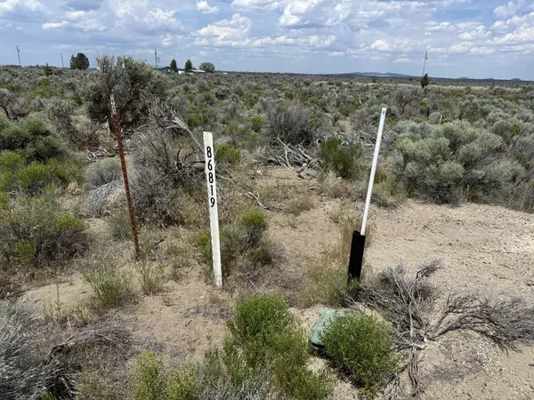 Christmas Valley, OR 97641,86819 Glitter Lane