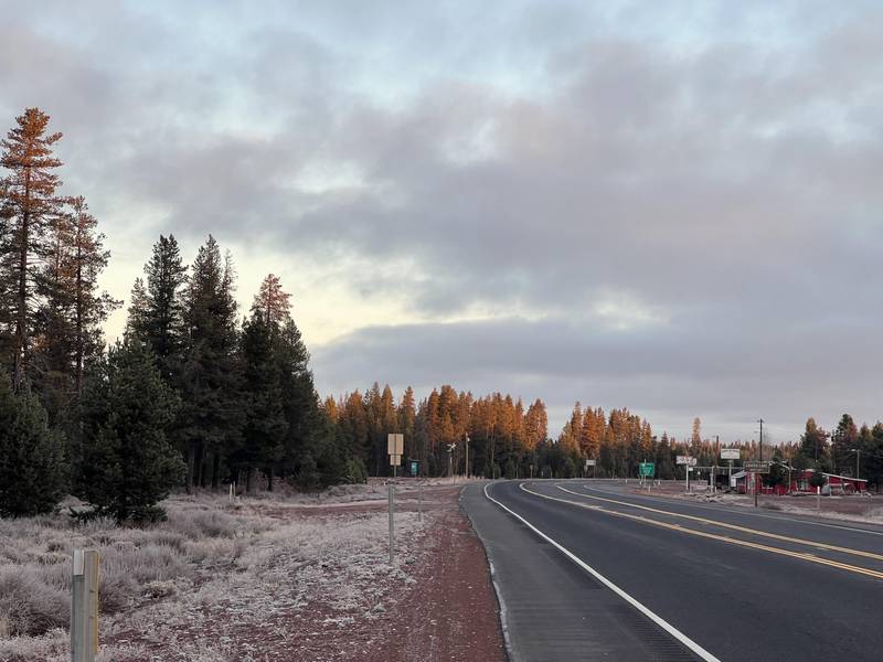 HWY 97 #201, Chemult, OR 97731