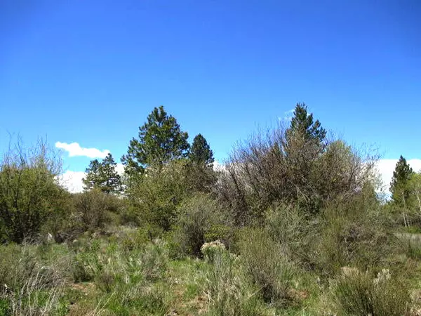 Chiloquin, OR 97624,0 Forest View DR #8