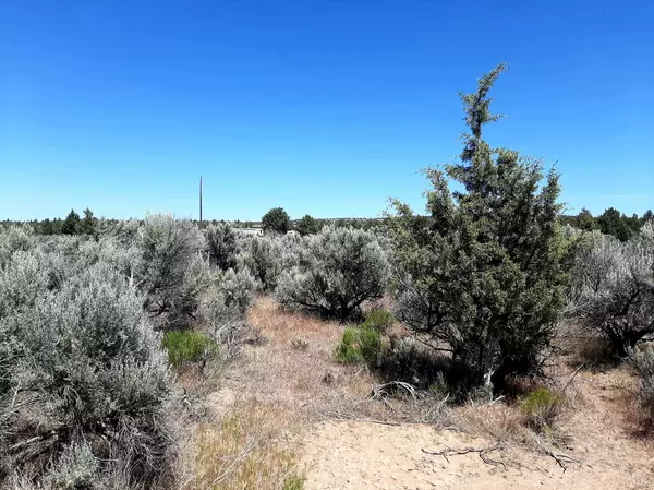 Prineville, OR 97754,Snake RD