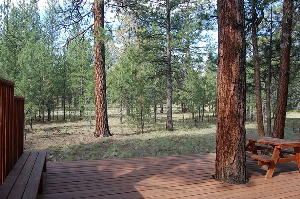 Sisters, OR 97759,69307 Scabbard