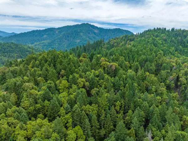 Wolf Creek, OR 97497,1251 Warner RD