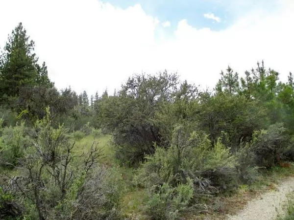 Beatty, OR 97621,Partin DR #5