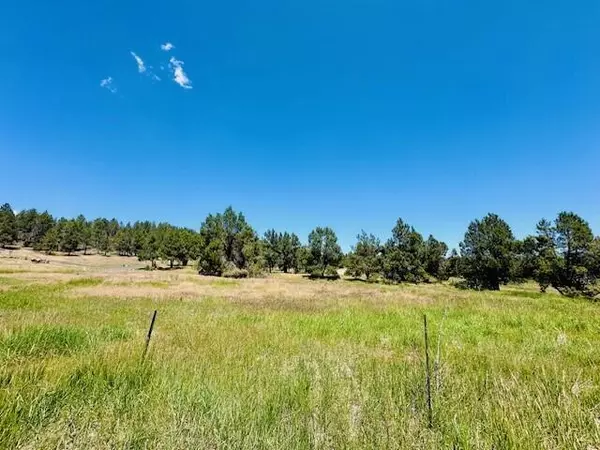 Klamath Falls, OR 97601,Murrelet RD #Lot 1130