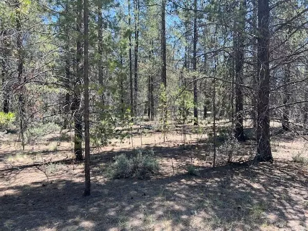 La Pine, OR 97739,52266 PINE FOREST DR #LOT 6