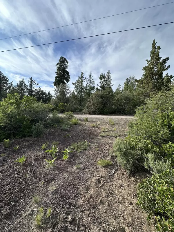 Bonanza, OR 97623,Porpoise LN #Lot 29