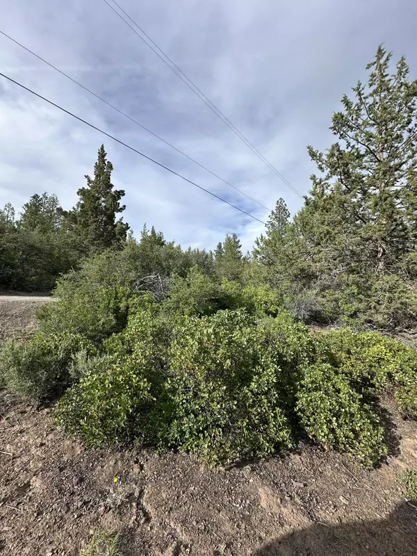 Bonanza, OR 97623,Porpoise LN #Lot 29