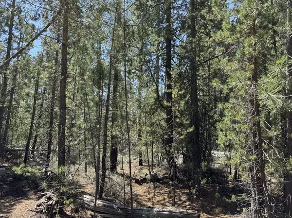 Crescent Lake, OR 97733,Gabriel Court #50